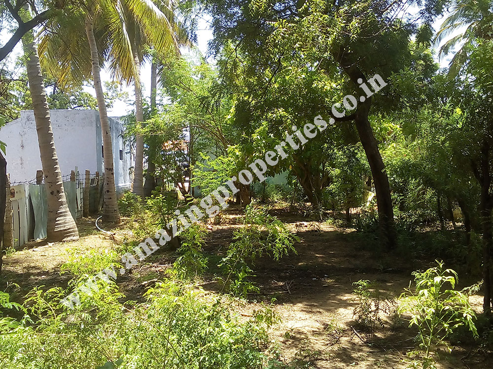 House for sale in Thatchanallur, Tirunelveli House for sale in Thatchanallur, Tirunelveli